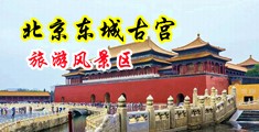 乡下农村妓女BBBBB中国北京-东城古宫旅游风景区